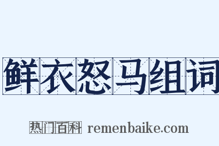 鲜衣怒马组词是什么意思的图片